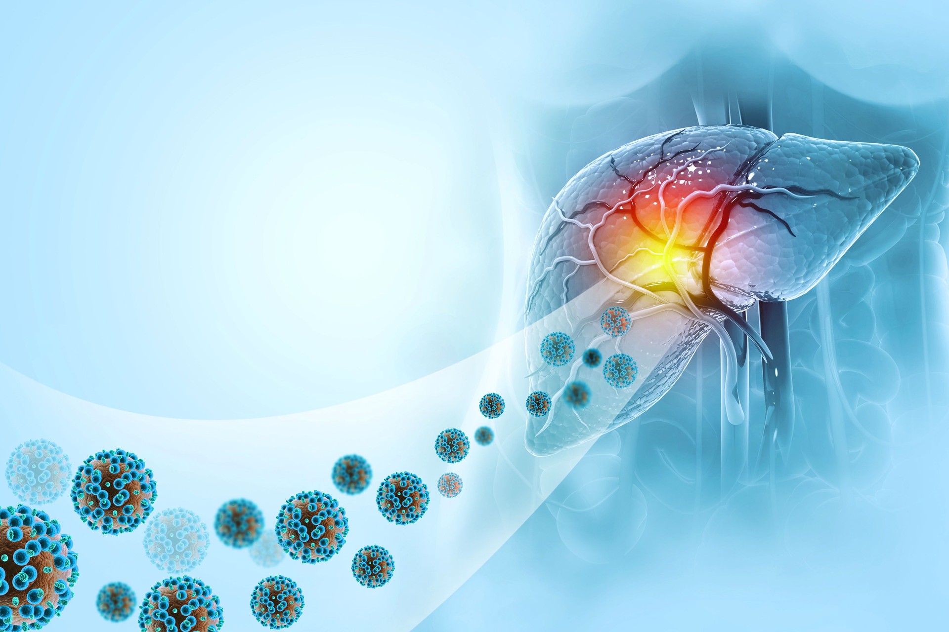 Human liver with hepatitis virus. 3d illustration